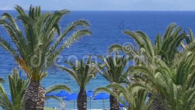 美丽的地中海海岸线，有<strong>风</strong>的棕榈树和<strong>清澈</strong>的蓝色海水欧洲